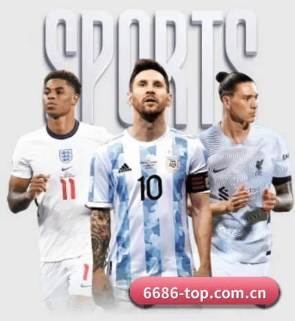 6686体育 APP