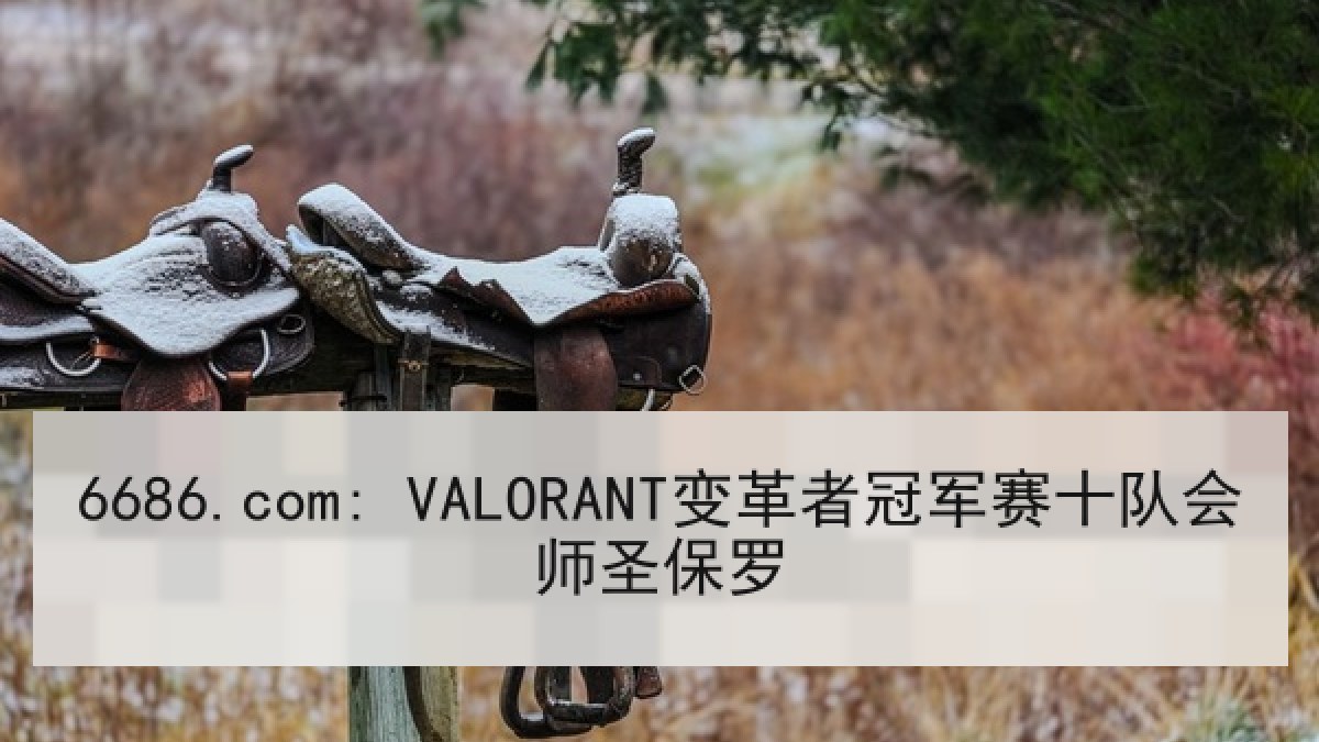6686.com: VALORANT变革者冠军赛十队会师圣保罗