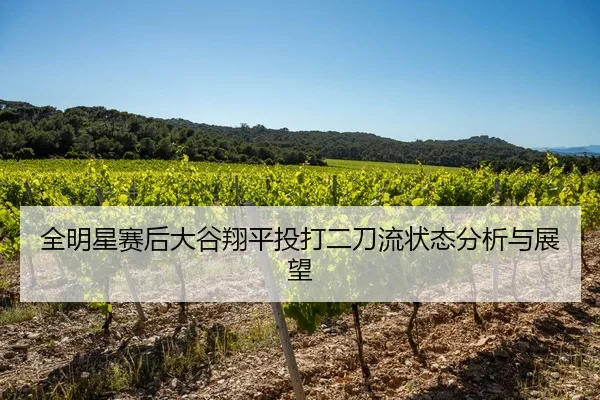全明星赛后大谷翔平投打二刀流状态分析与展望